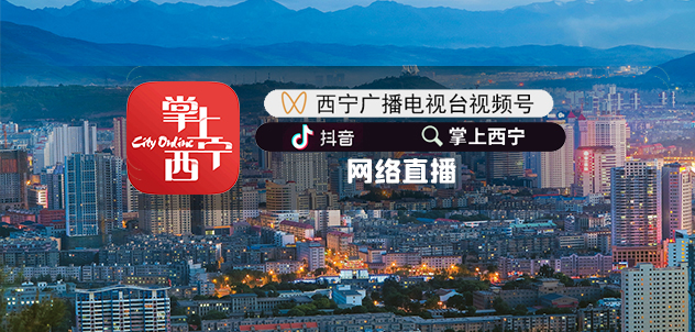 西宁网络电视台直播借助西宁电视台平台，通过西宁广播电视台视频号、掌上西宁抖音号、掌上西宁APP等网络平台，借助西宁电视台直播拍摄技术，采用多视角，多场景，低延时的专业技术打造了专业的直播团队。